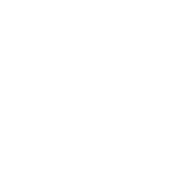 Bis Tree Inc. logo